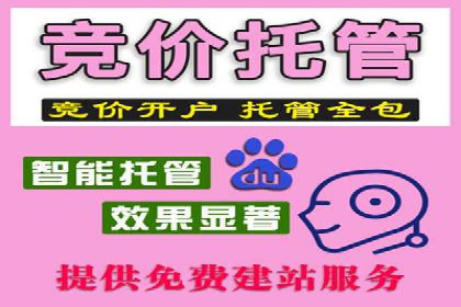 案例分析：百度竞价广告投放技巧